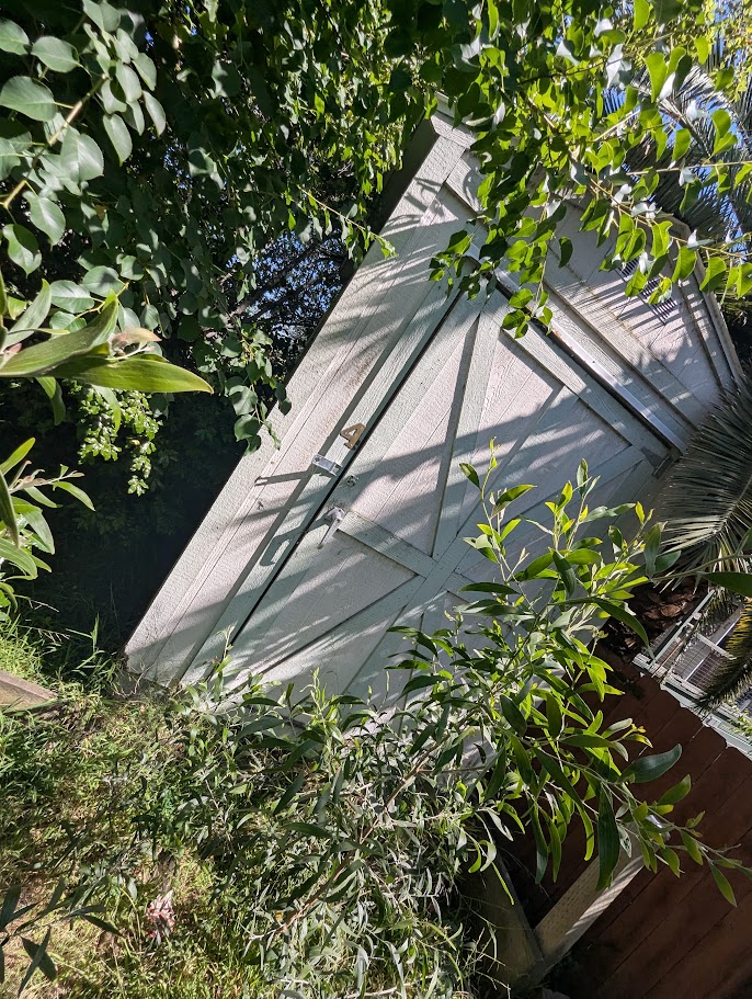 Shed 4 barely visible through overgrown vegetation — door frame misaligned from structural failure at rear corner